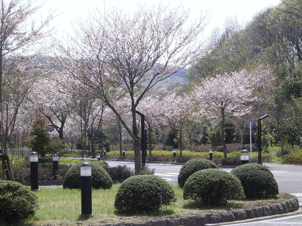 神奈川県農業技術センターを訪ねました